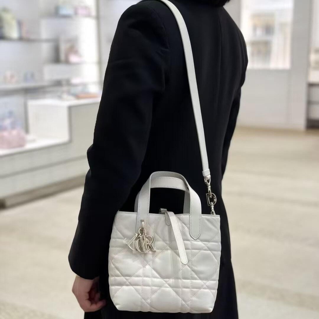디올 숄더백 뚜주흐백 버티컬