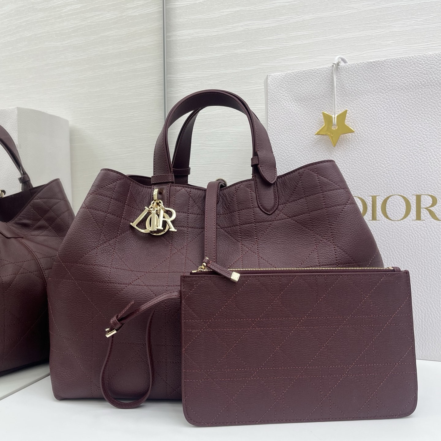 디올 뚜주흐백 라지 토트백 M2820