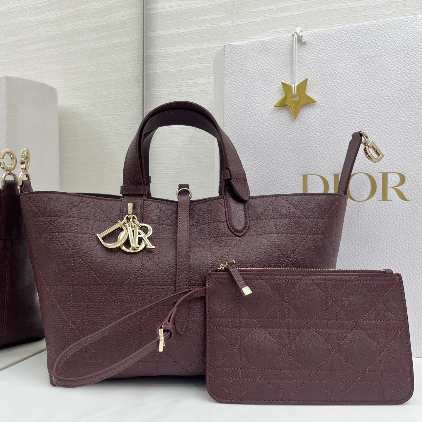 디올 뚜주후백 미듐 M2821