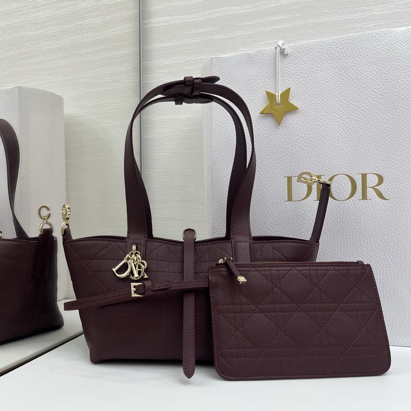 디올 뚜주후백 스몰 M2822