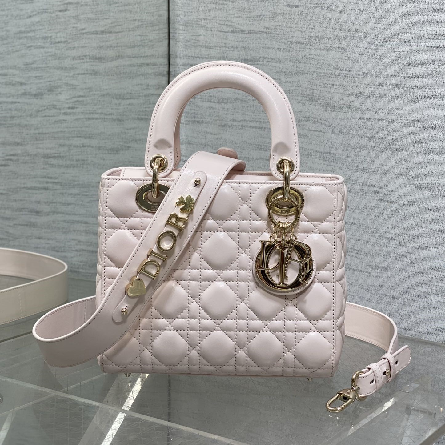디올 레이디백 스몰 이니셜