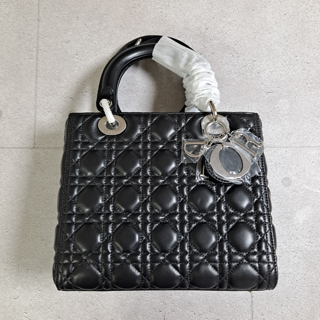 디올 레이디백 미듐 은장