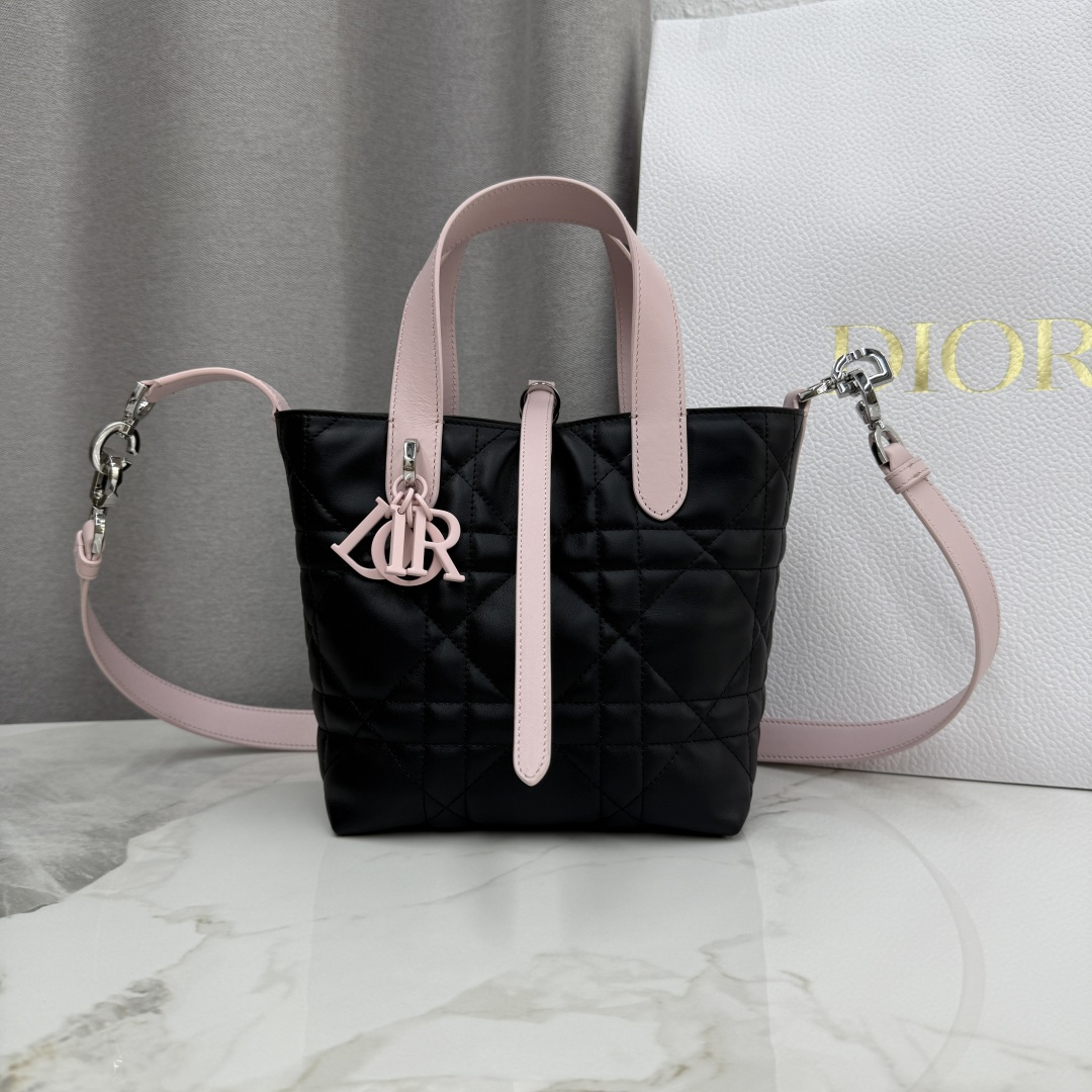 디올 뚜주흐백 스몰 버티칼 토트백 M2835